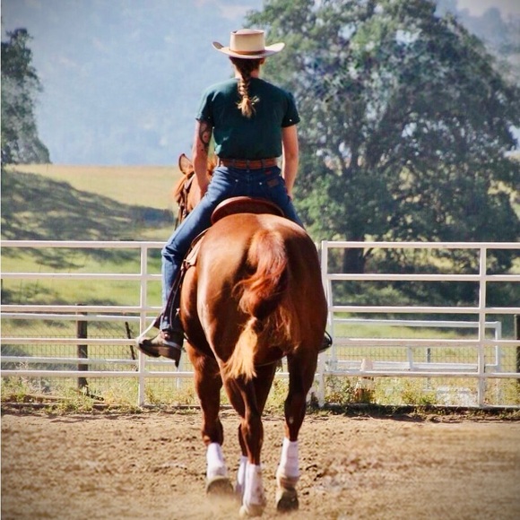 Meet your Posher, Morgan - Picture 4 of 4